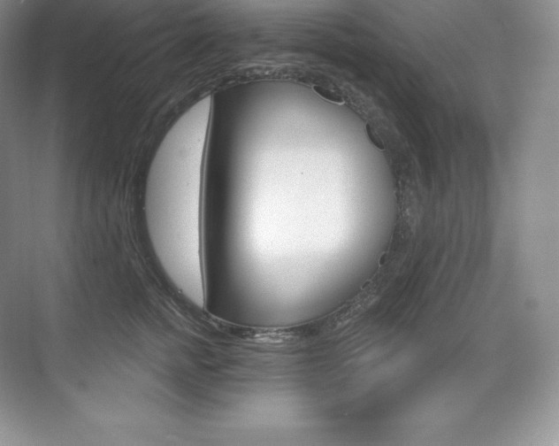 X0000073930758200608111025