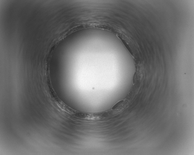 X0000073930760200608111025