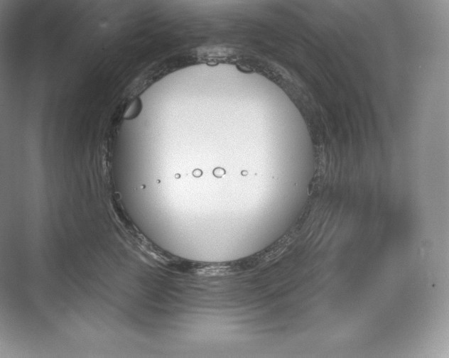 X0000073930761200608111025