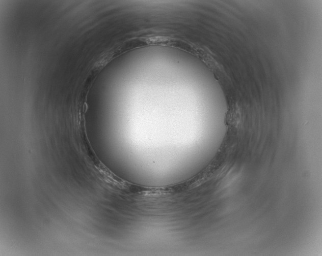 X0000073930763200608111025