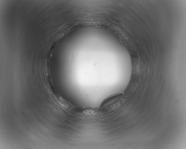 X0000073930764200608111025