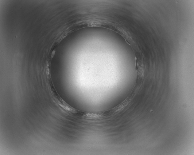 X0000073930766200608111025