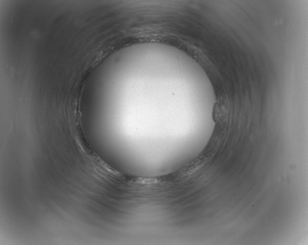 X0000073930767200608111025