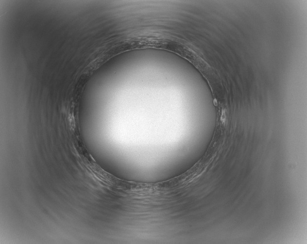 X0000073930771200608111025
