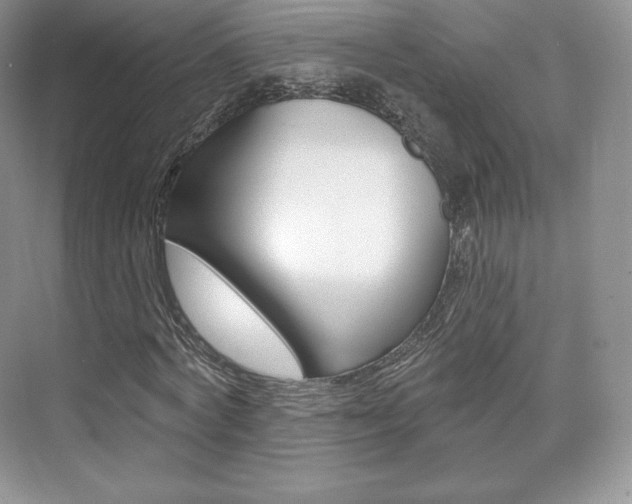 X0000073930772200608111025