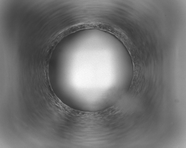 X0000073930773200608111025