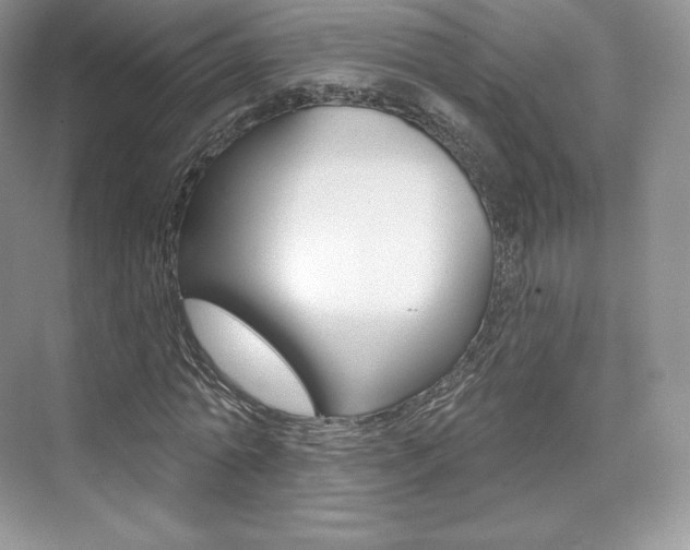 X0000073930774200608111025