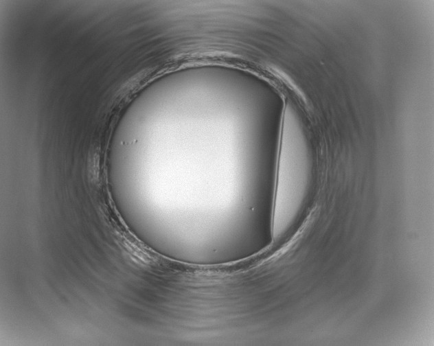 X0000073930777200608111025