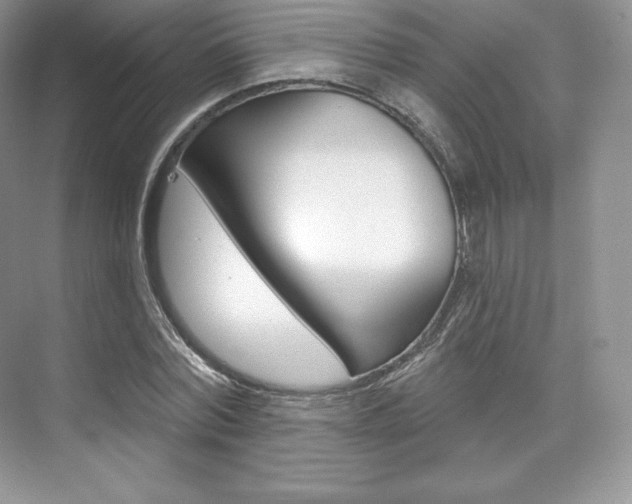 X0000073930780200608111024