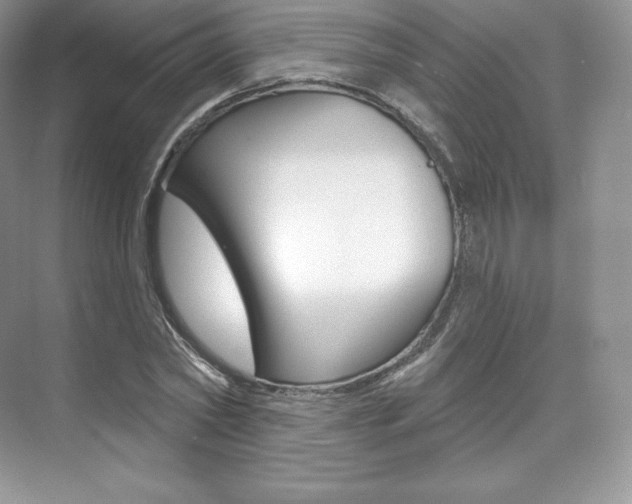 X0000073930782200608111024