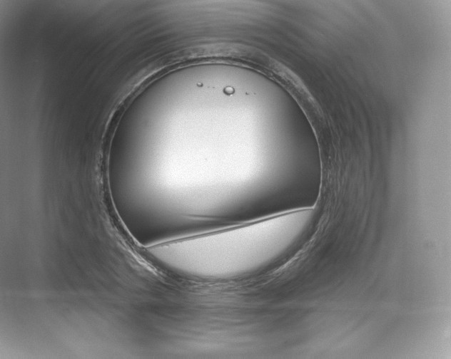 X0000073930786200608111024