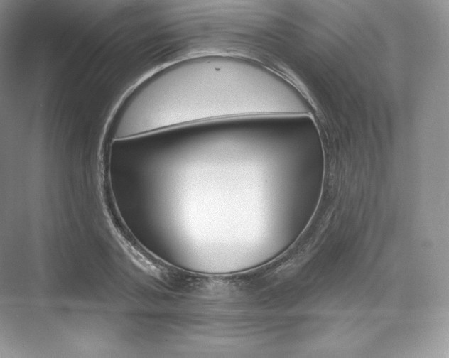 X0000073930787200608111024
