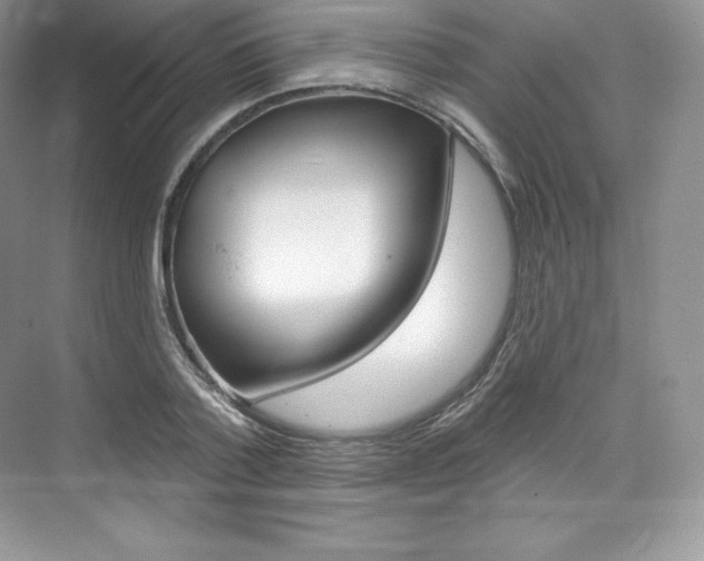 X0000073930788200608111024