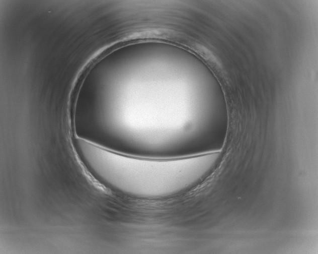 X0000073930792200608111024