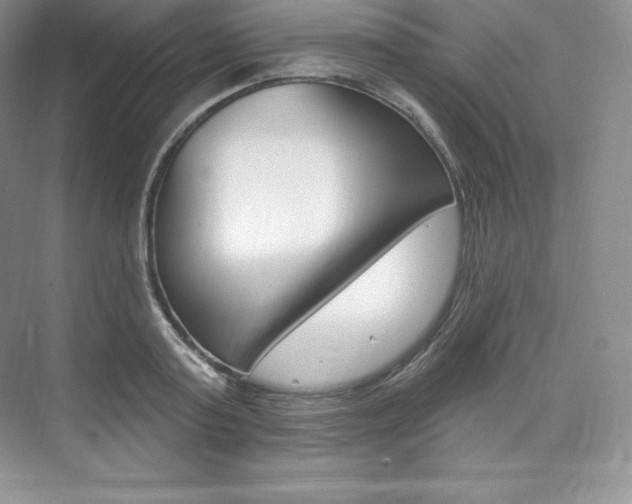 X0000073930795200608111024