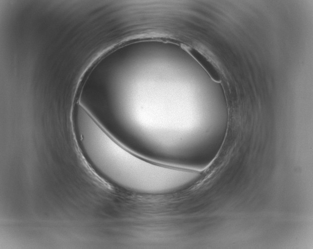 X0000073930797200608111024