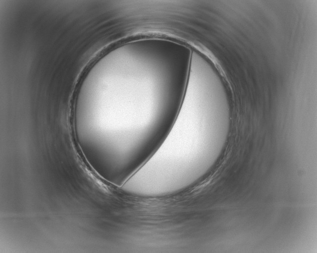 X0000073930799200608111024
