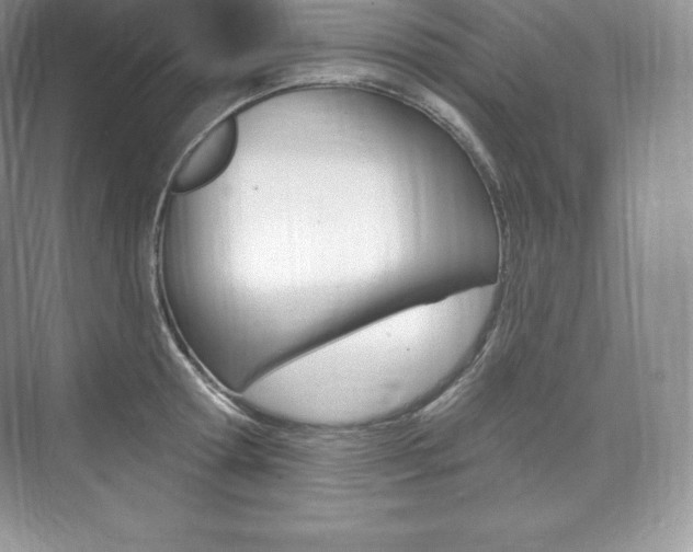 X0000073930802200608111024