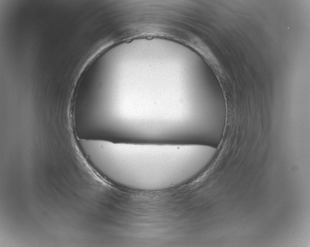 X0000073930806200608111024