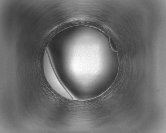 X0000073930822200608111023