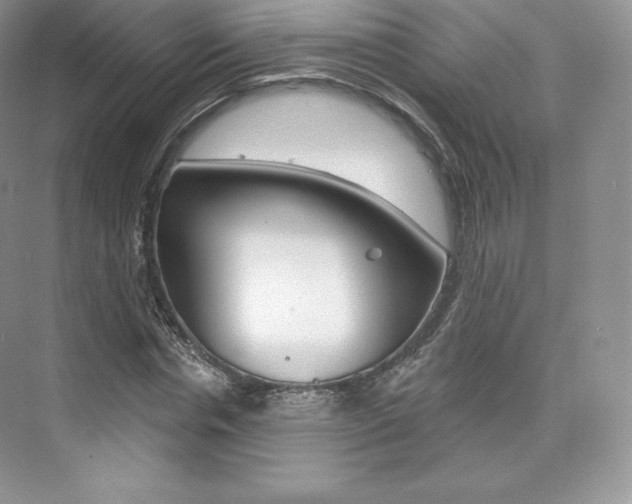 X0000073930826200608111023