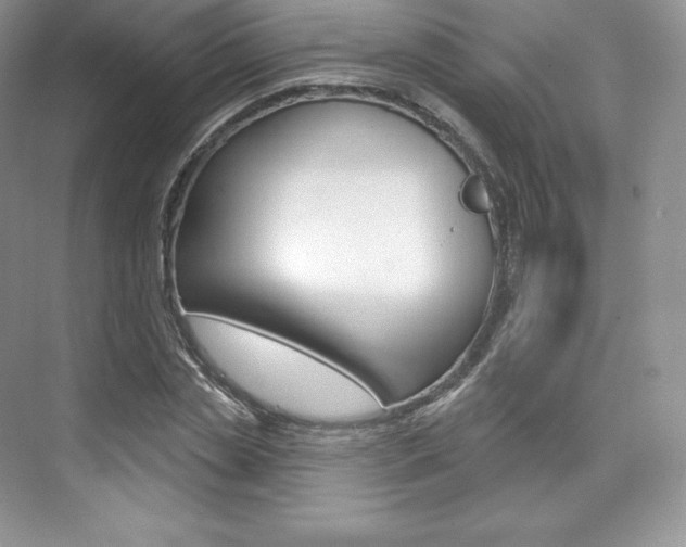 X0000073930829200608111023