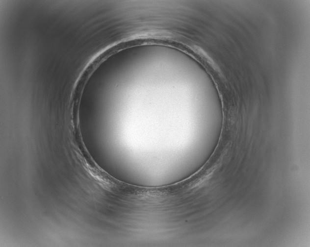 X0000073930830200608111023