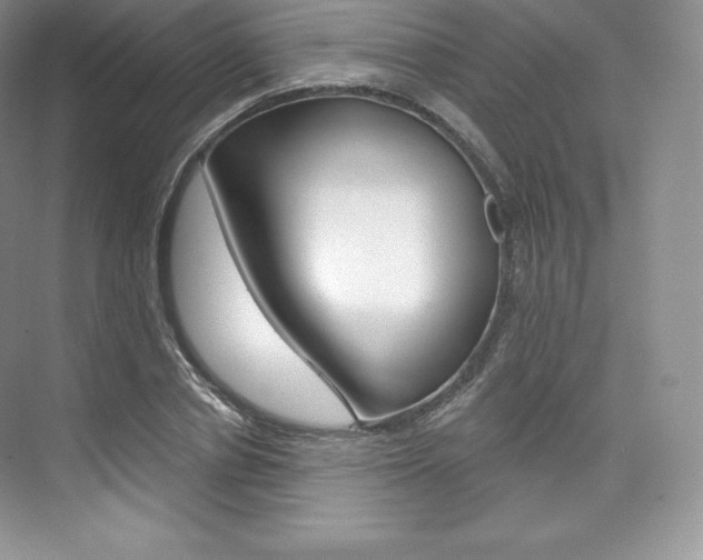 X0000073930834200608111023