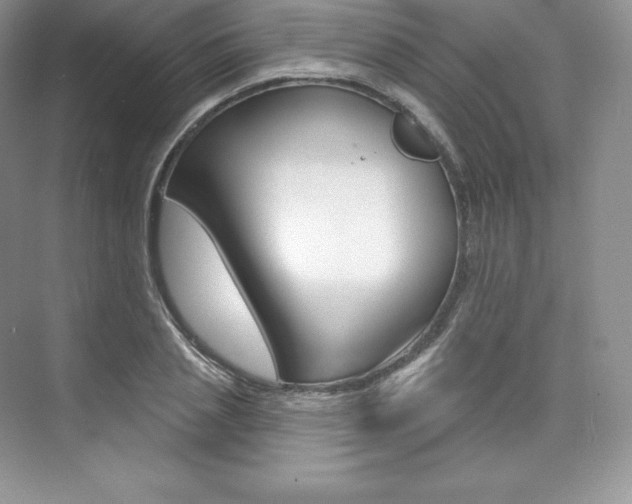 X0000073930837200608111023