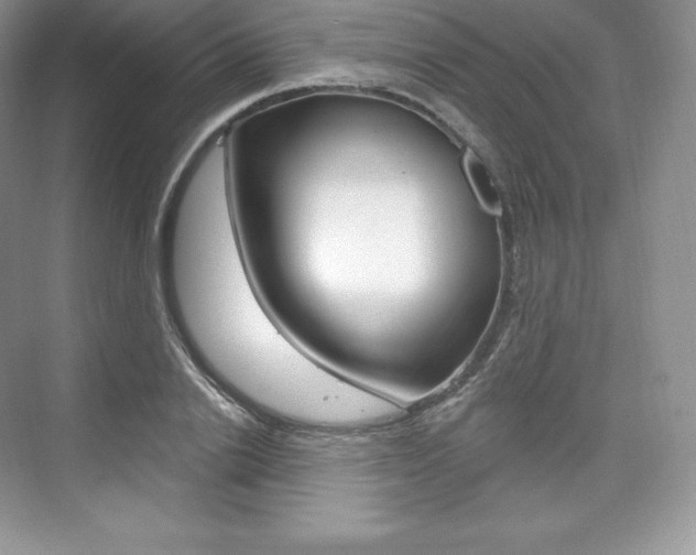 X0000073930838200608111023