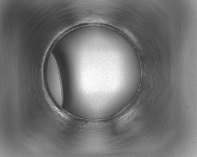 X0000073930840200608111023
