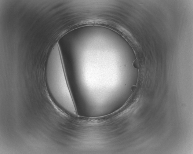 X0000073930841200608111023