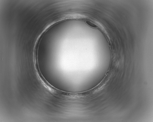 X0000073930843200608111023
