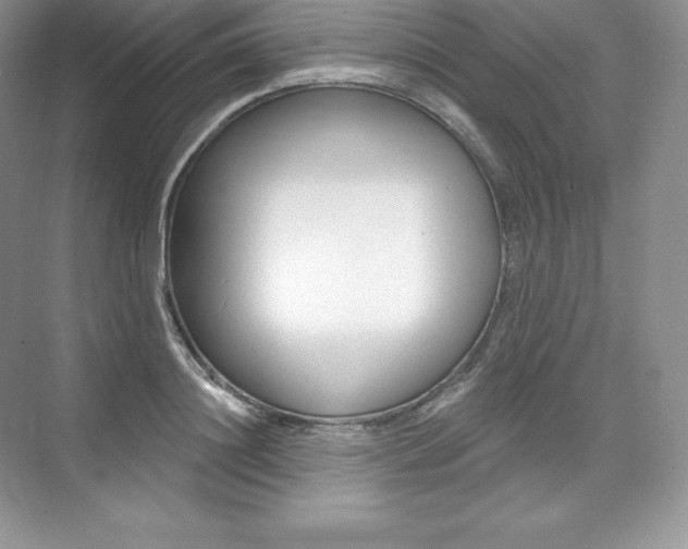 X0000073930844200608111023