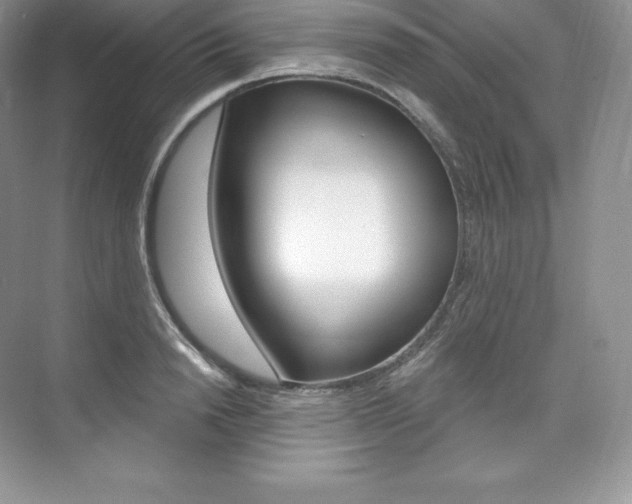X0000073930846200608111024