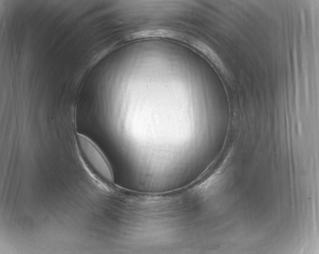 X0000073930849200608111024