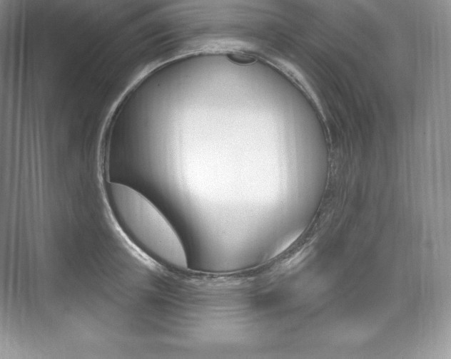 X0000073930851200608111024