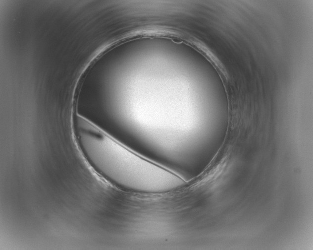 X0000073930853200608111024
