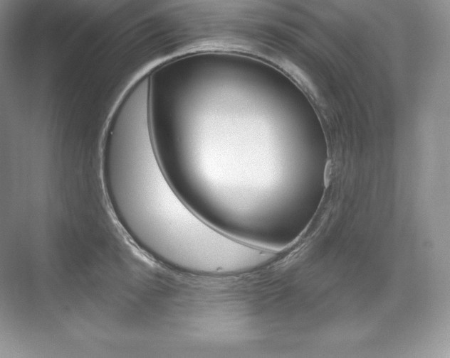 X0000073930854200608111024