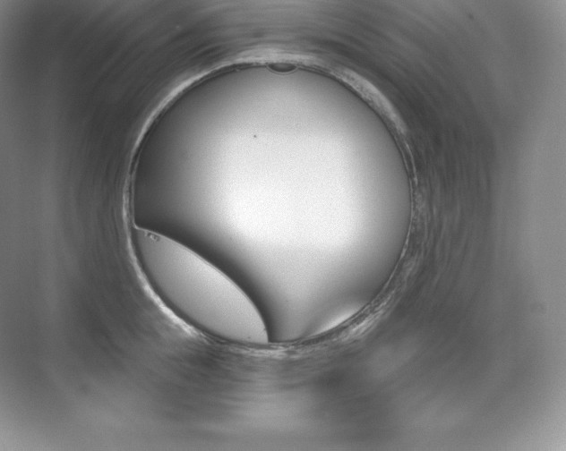 X0000073930855200608111024