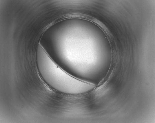 X0000073930857200608111024