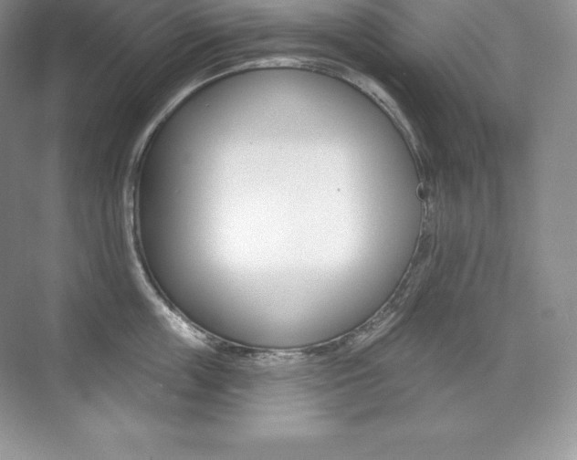 X0000073930859200608111024