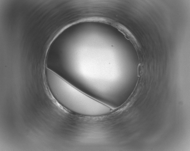 X0000073930860200608111024
