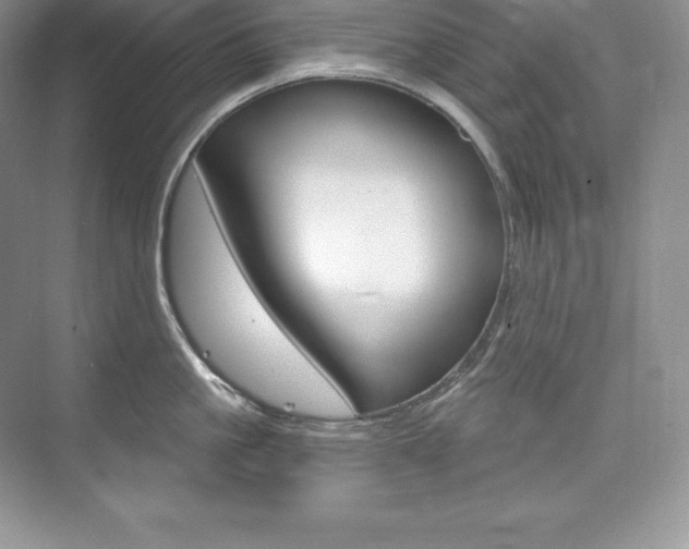 X0000073930861200608111024