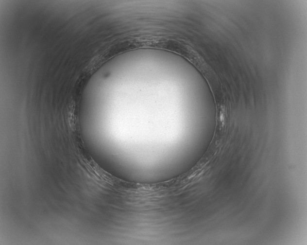X0000073930867200608111023