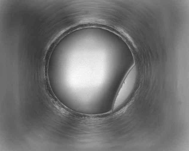 X0000073930877200608111023