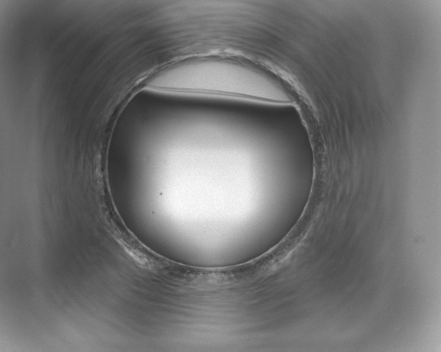 X0000073930881200608111023