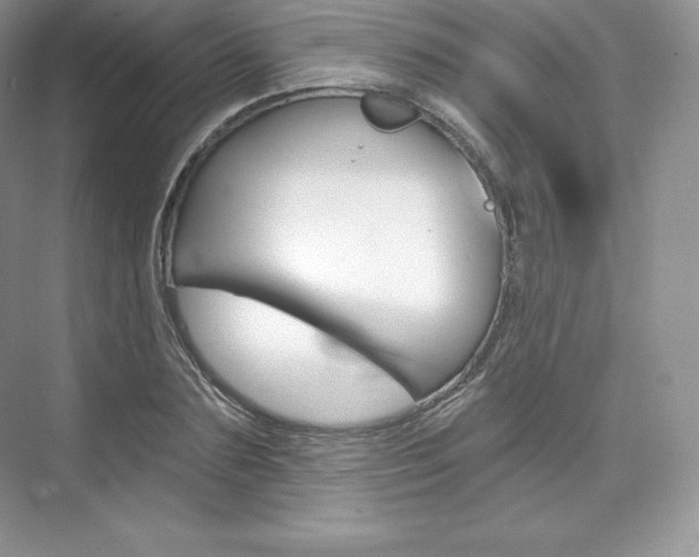 X0000073930883200608111023