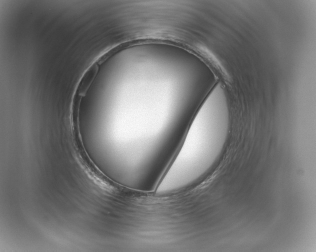 X0000073930884200608111023