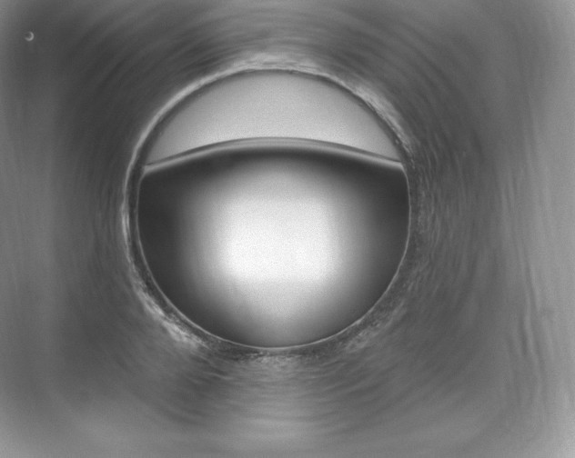 X0000073930888200608111023